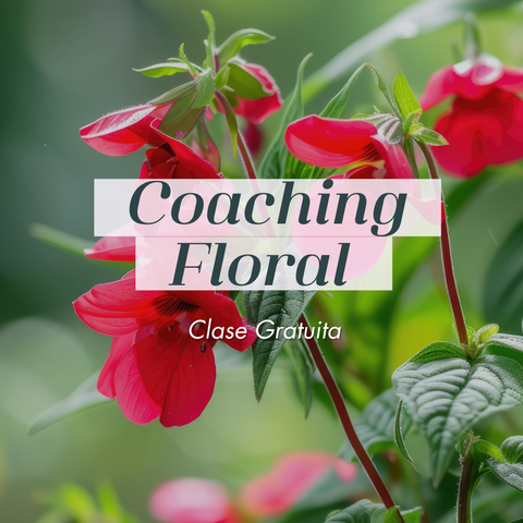 CLASE GRATUITA PARA TERAPEUTAS FLORALES