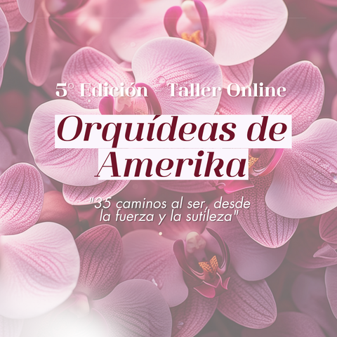 ORQUÍDEAS DE AMERIKA