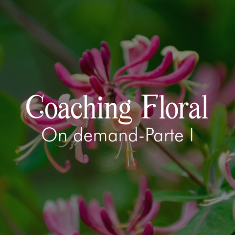 COACHING FLORAL ON DEMAND - PARTE I