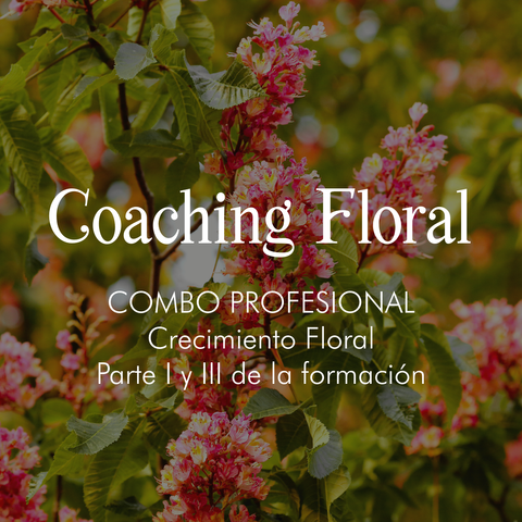 Combo Profesionales: De Terapeuta a Coach (Parte I y III de Coaching Floral)