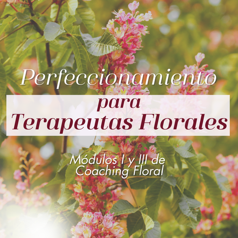 PERFECCIONAMIENTO PARA TERAPEUTAS FLORALES