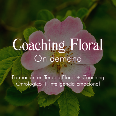 COACHING FLORAL 2024 - Formación al completo