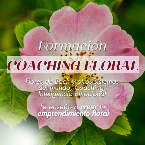 COACHING FLORAL 2025 - Formación al completo