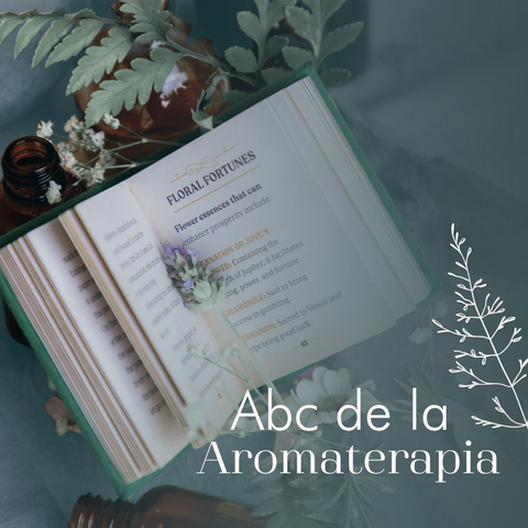 ABC DE LA AROMATERAPIA ON DEMAND