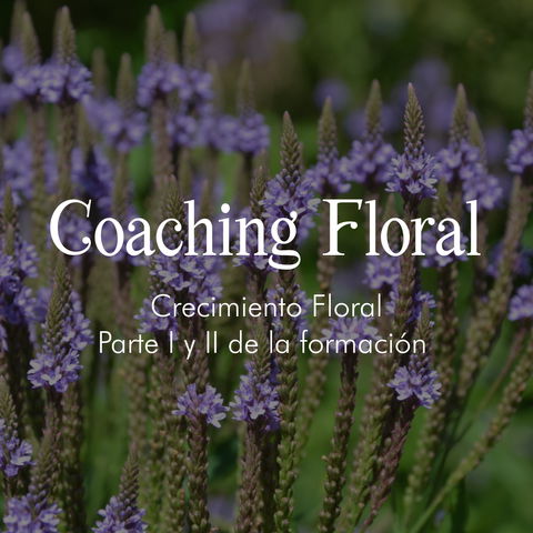 Combo Inicial: De Muggle de Terapeuta. (Partes I y II de la Formación en Coaching Floral)