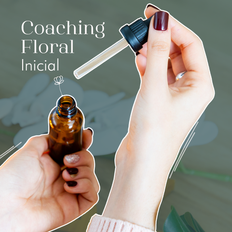 Coaching Floral Inicial