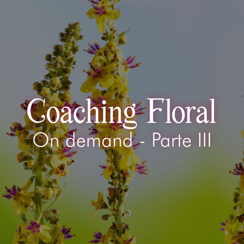 COACHING FLORAL ON DEMAND - PARTE III