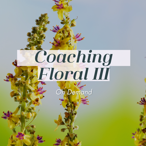 COACHING FLORAL ON DEMAND - PARTE III
