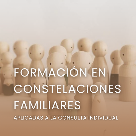 Formación en Constelaciones Familiares aplicadas a la consulta individual