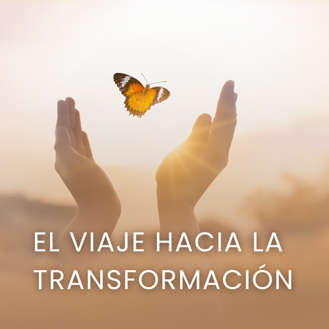 El Viaje hacia la Transformación