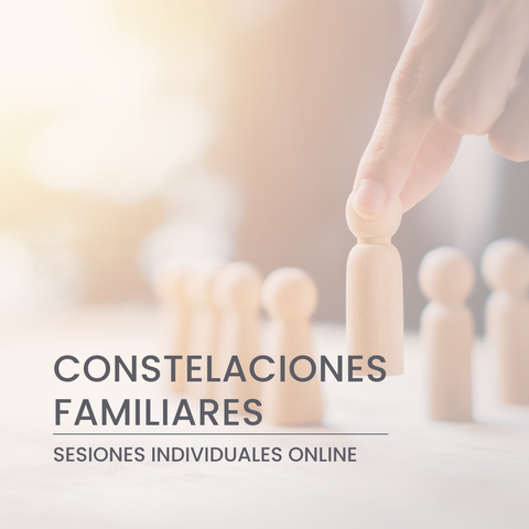 Constelaciones Familiares Individuales