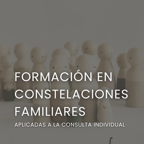 Formación Profesional en Constelaciones Familiares aplicadas a la Consulta Individual