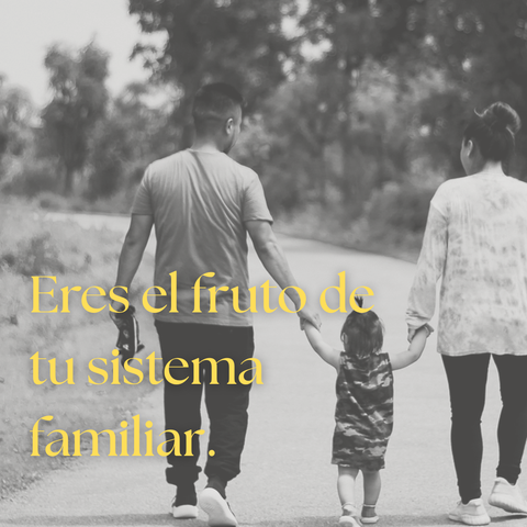 Constelaciones familiares