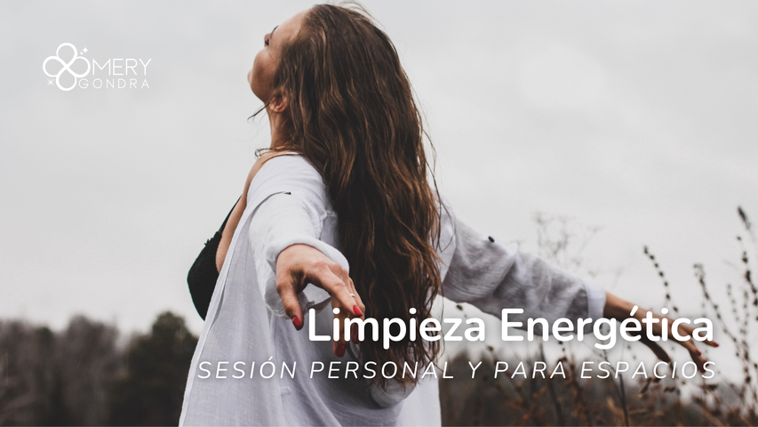 Limpieza Full