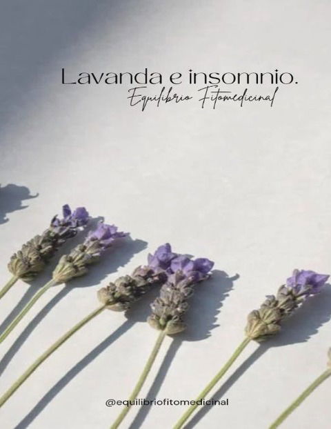 Artículo Lavanda e Insomnio.