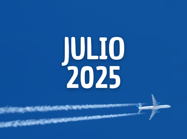 Taller online intensivo: Yo puedo volar (sin miedo)