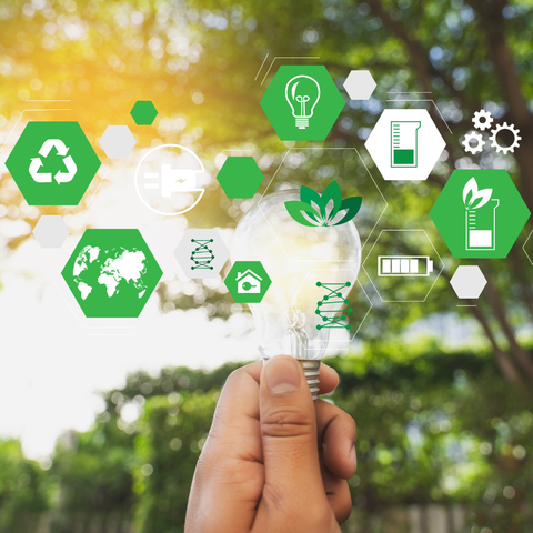 Programa Mentoría Emprende Sustentable (4 sesiones + 1 seguimiento)