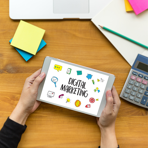 Programa Mentoría Marketing Sustentable (4 sesiones + 1 seguimiento)