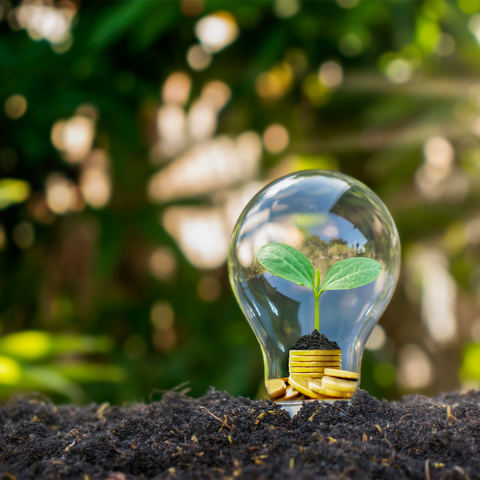 Curso Sustentabilidad e Innovación (próximamente)