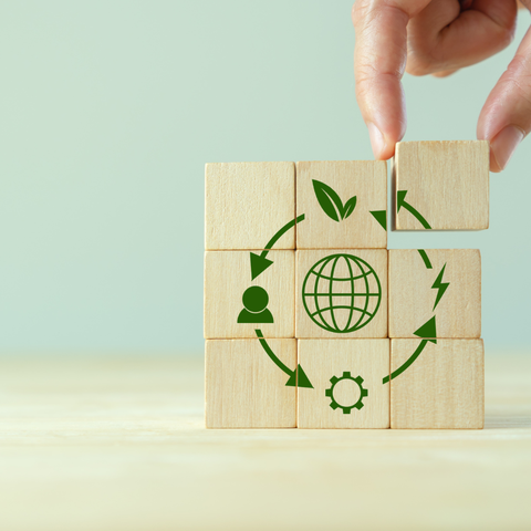 Asesoría Economía Circular para Emprendimientos (1 sesión)