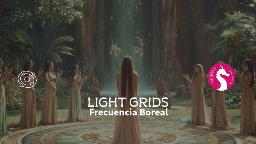 Light grids - Frecuencia Boreal. Sesión grupal