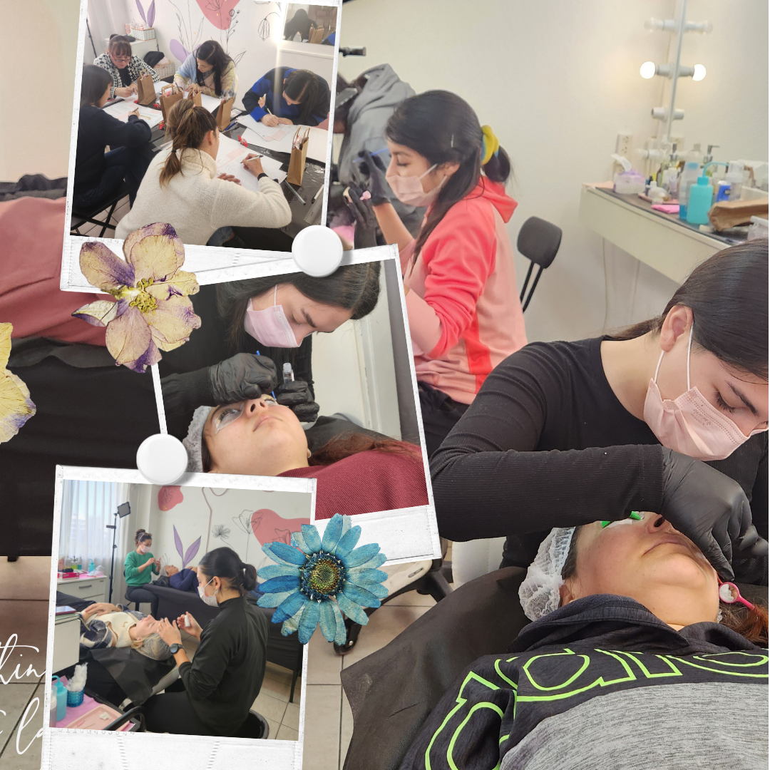 Brow & Lash Academy | Cursos de Cejas y Lifting de Pestañas — Erica Hardt
