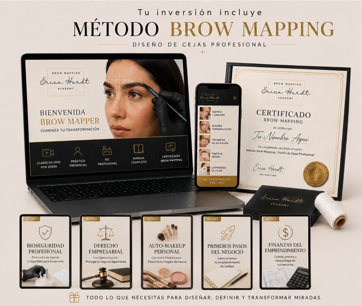 Contenido del curso Brow Mapping