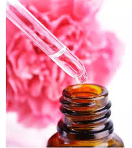 Terapia Floral y Homeopatía en Familias Multiespecie