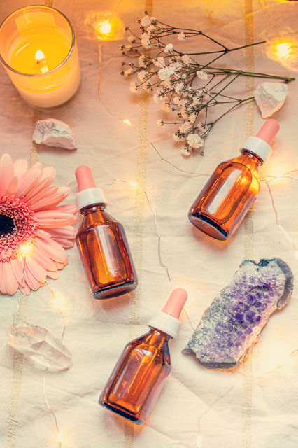 Terapia Floral y Homeopatía en Familias Multiespecie