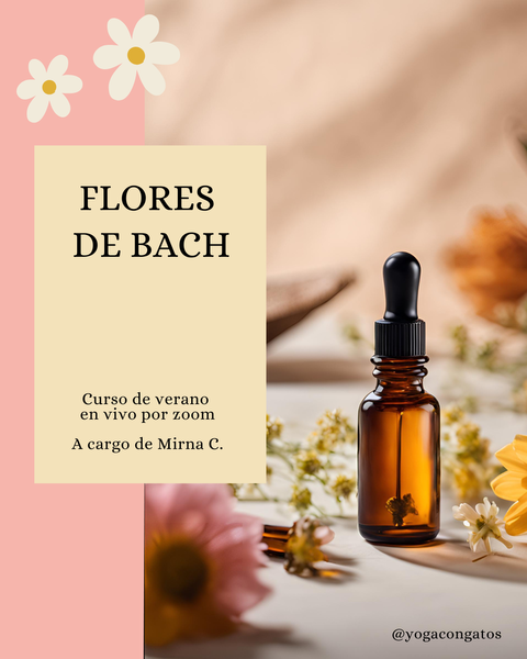 FLORES DE BACH - Formación de verano en vivo 
