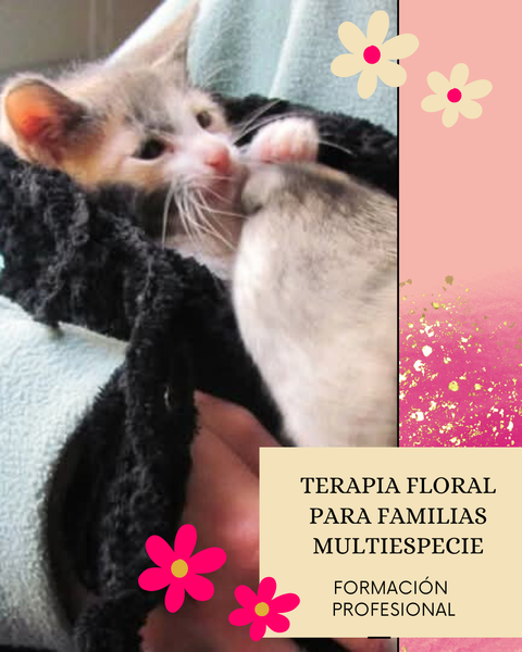 FORMACIÓN DE TERAPIA FLORAL PARA FAMILIAS MULTIESPECIE. EDICION OCTUBRE 2025