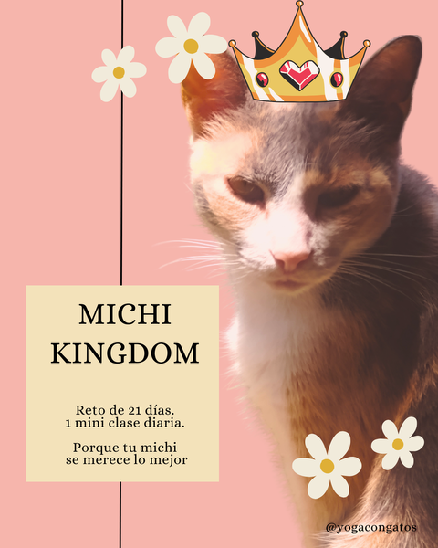 MICHI KINGDOM 