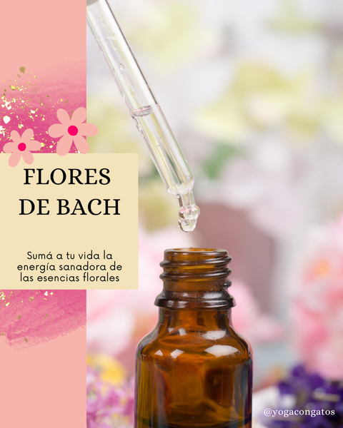 Flores de Bach