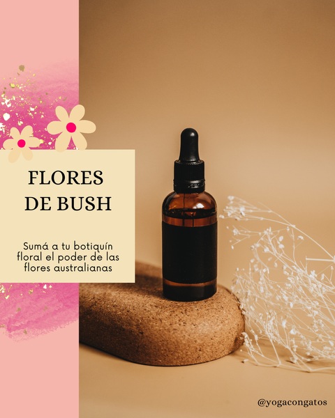 Flores de Bush