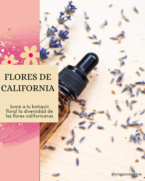 Flores de California
