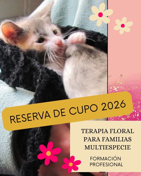 FORMACIÓN 2026. 1ra cuota