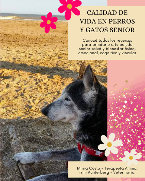 Calidad de vida en perros y gatos senior 