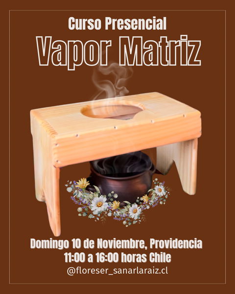 Vapor Matriz 