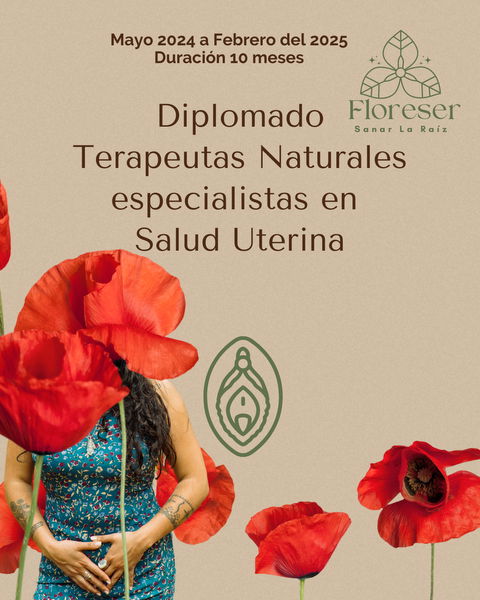 Diplomado TN especialistas en Salud Uterina 2024