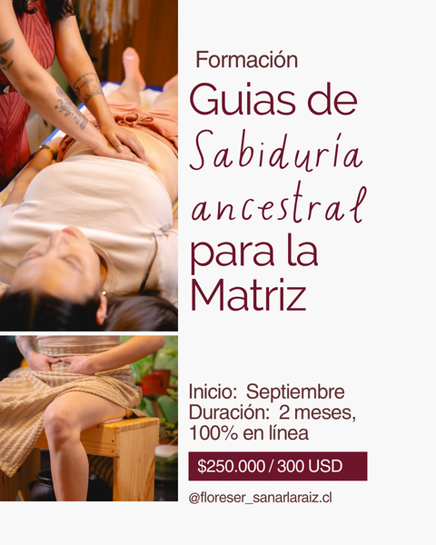 Guias en Sabiduría Ancestral para la Matriz 2025