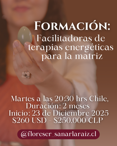Terapias Energéticas para la Matriz