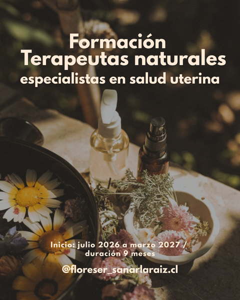 Diplomado TN especialistas en Salud Uterina 2026