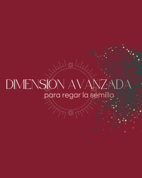 Dimension Avanzada