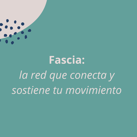 Fascia: la red que conecta y sostiene tu movimiento