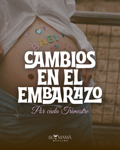 Cambios en el embarazo | primer, segundo y tercer trimestre
