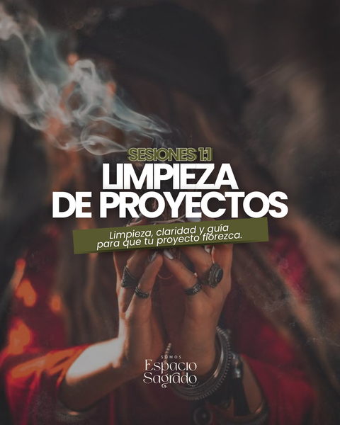 LIMPIEZA DE PROYECTOS