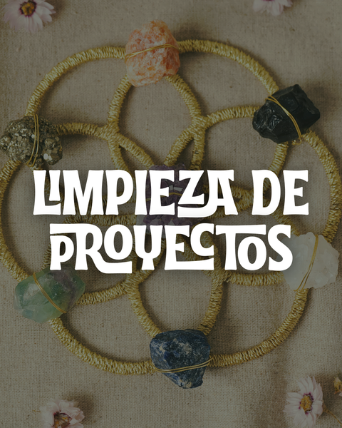 LIMPIEZA DE PROYECTOS