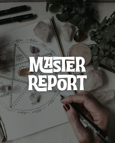 MASTER REPORT