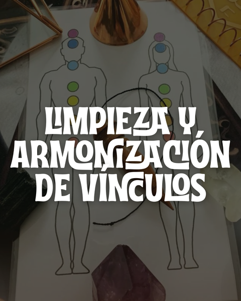 LIMPIEZA Y ARMONIZACIÓN DE VINCULOS