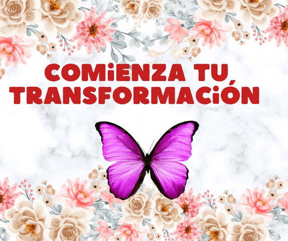 Siempre Mariposa Inicial